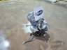 2025 YAMAHA FACTOR 