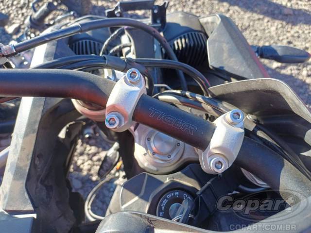 2025 TRIUMPH TIGER 
