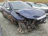 2023 FIAT TORO 