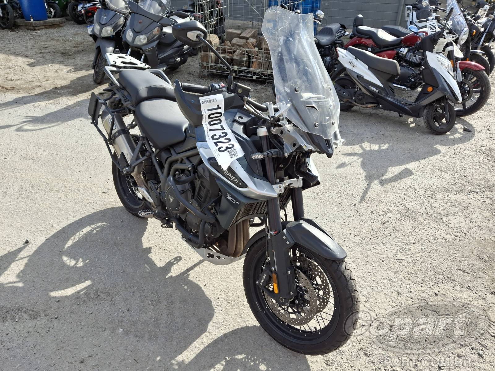Veículo TRIUMPH Tiger 2019 TRIUMPH TIGER 2019 em leilão