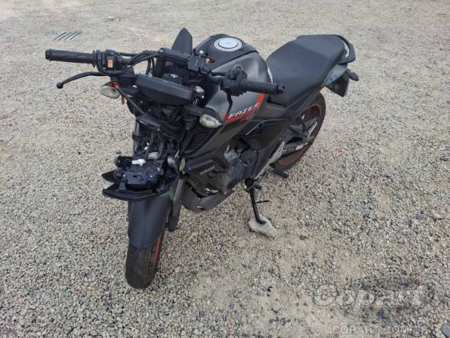 2025 YAMAHA FZ15 