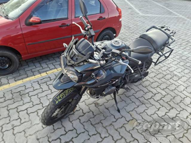 2019 TRIUMPH TIGER 