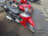 2025 HONDA BIZ 125 