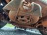 1999 FORD FIESTA 