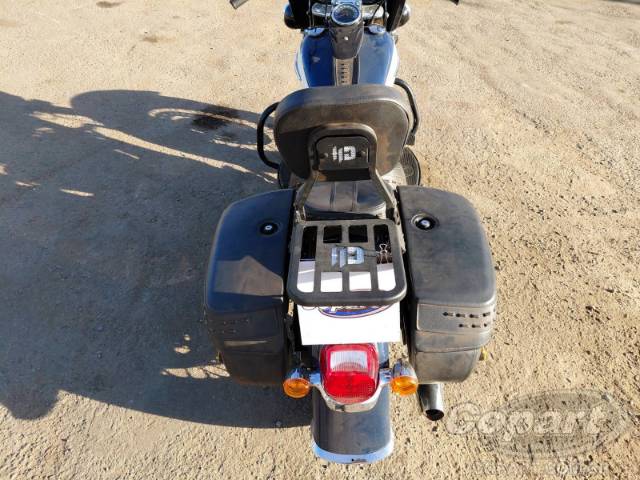 2019 HARLEY-DAVIDSON SOFTAIL 
