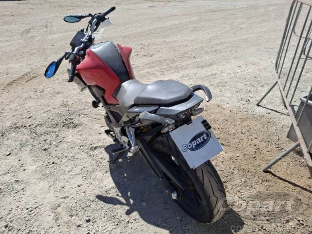 2023 HONDA CB 300F 