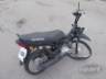 2026 HONDA POP 