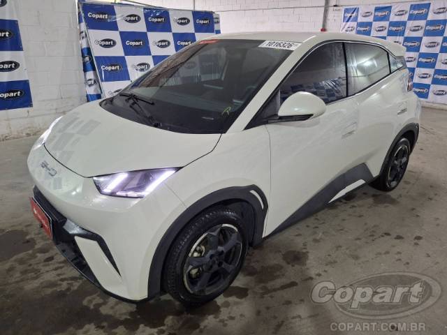 2025 BYD DOLPHIN MINI 