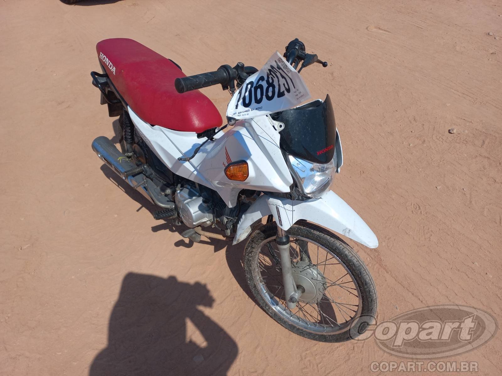 2019 HONDA POP