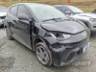 2025 BYD DOLPHIN MINI 