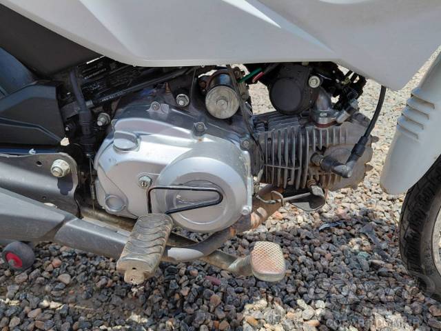2025 HONDA POP 