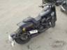 2019 HARLEY-DAVIDSON SOFTAIL 