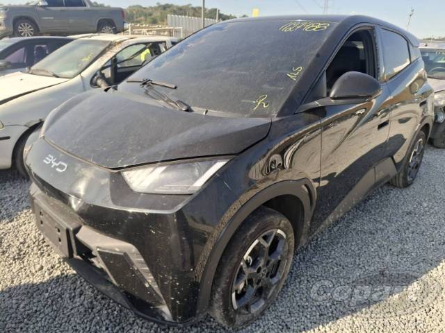 2026 BYD DOLPHIN MINI 