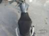 2022 HONDA CB 250 F 