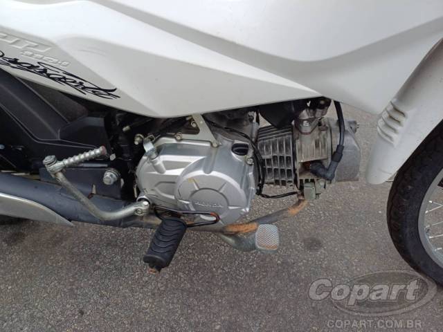 2023 HONDA POP 