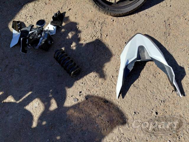 2024 TRIUMPH TIGER 