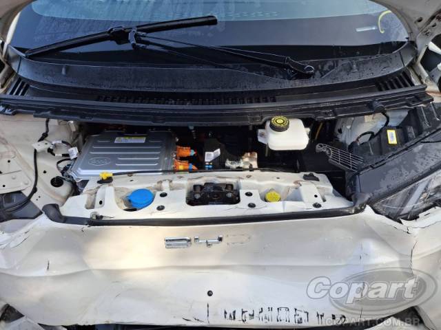 2025 BYD DOLPHIN MINI 