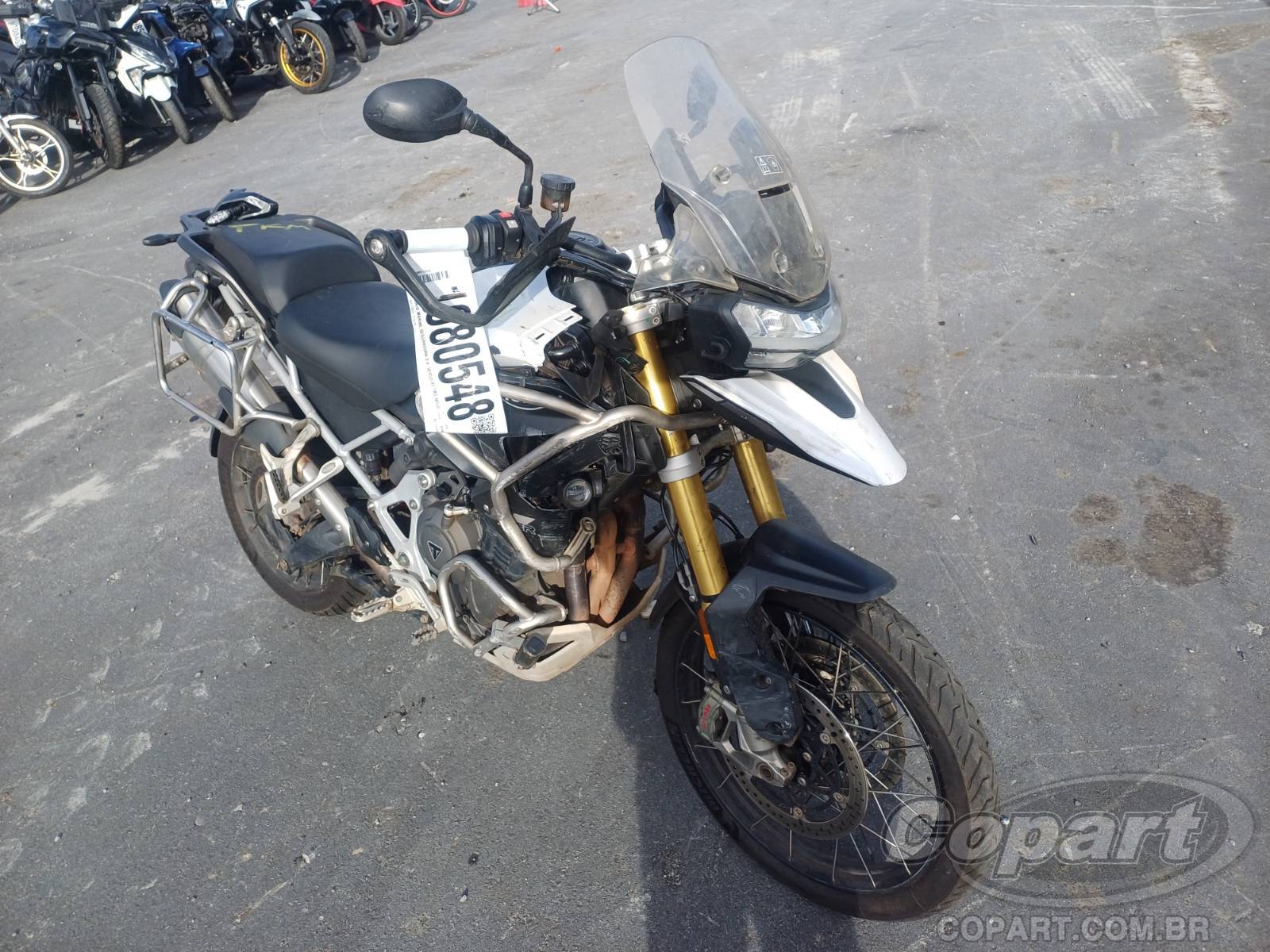 TRIUMPH Tiger 2023