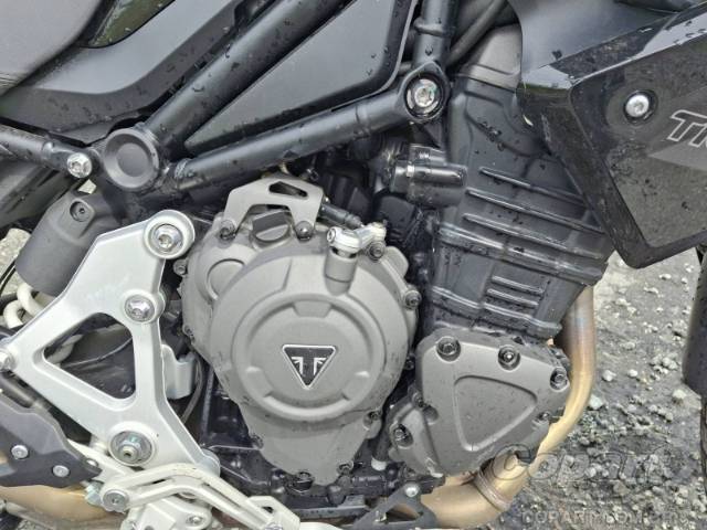 2024 TRIUMPH TIGER 