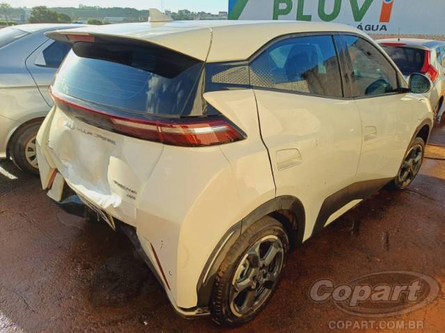 2025 BYD DOLPHIN MINI 