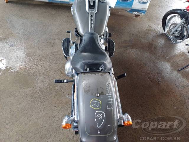 2019 HARLEY-DAVIDSON SOFTAIL 
