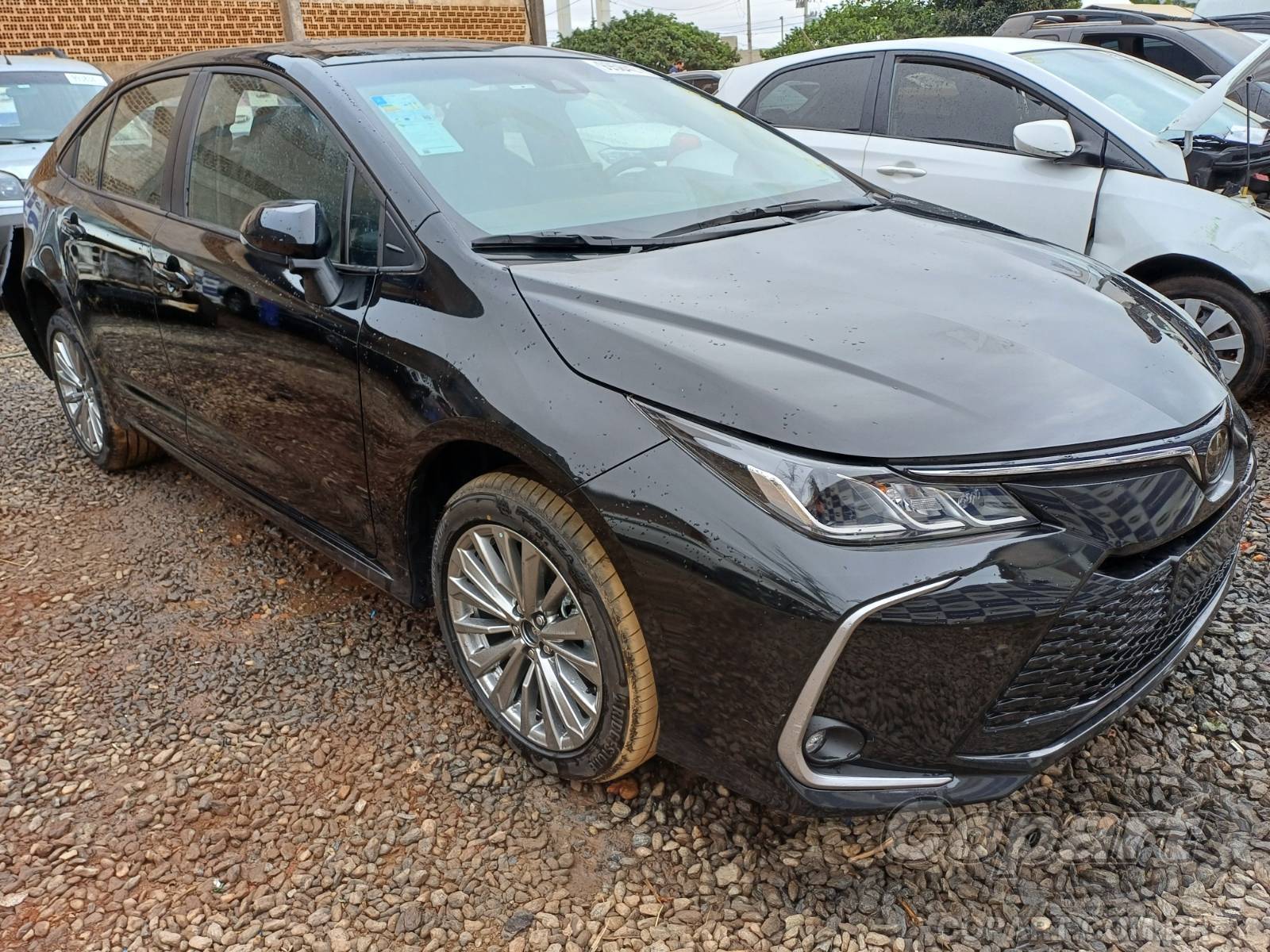 TOYOTA COROLLA 2025