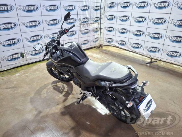 2024 YAMAHA FZ15 