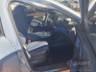 2026 BYD DOLPHIN MINI 