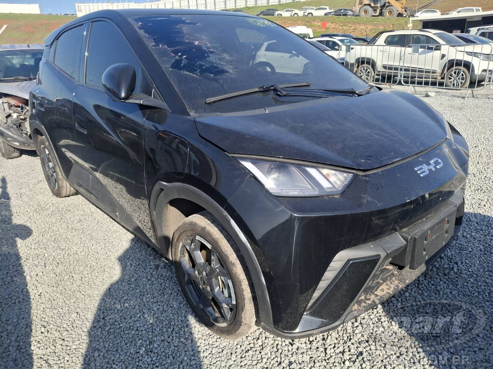 BYD Dolphin Mini 2026