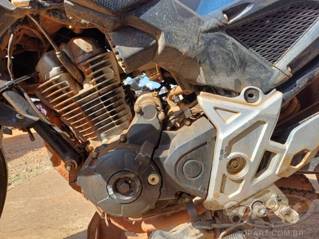 2025 HONDA CB 300F 