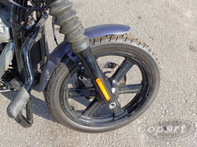 2025 HARLEY-DAVIDSON SOFTAIL 