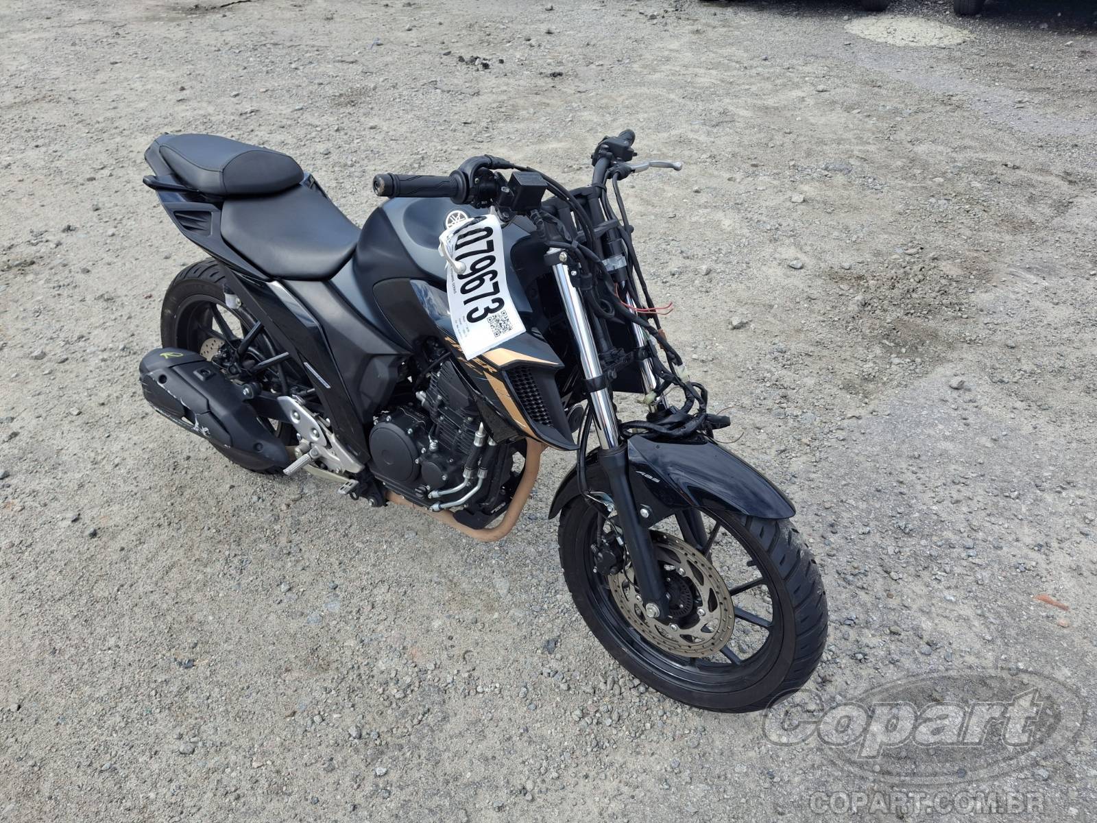 Yamaha FZ25 Fazer 2024