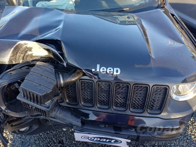 2019 JEEP RENEGADE 