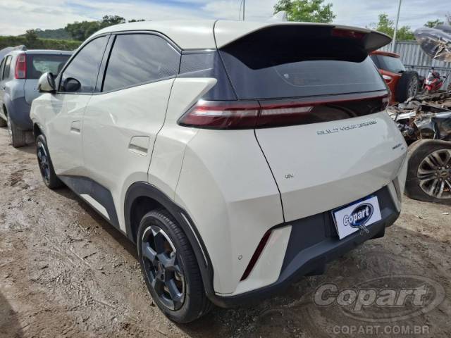 2025 BYD DOLPHIN MINI 