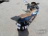 2024 HONDA PCX 