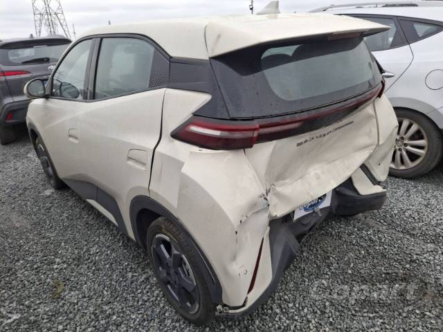 2025 BYD DOLPHIN MINI 