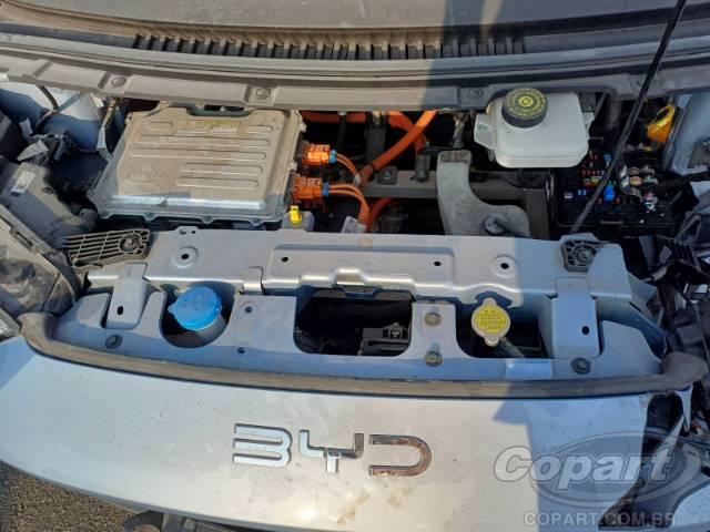 2026 BYD DOLPHIN MINI 