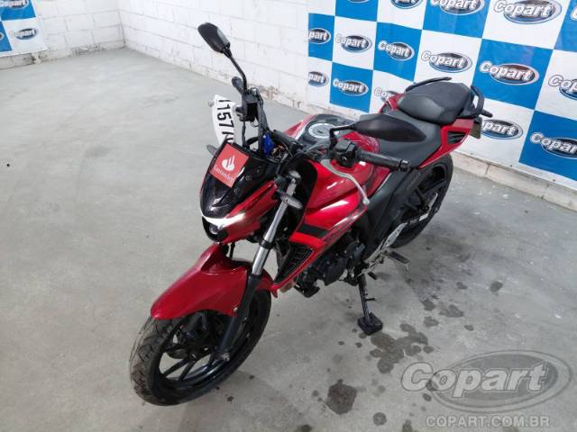 2025 YAMAHA FZ25 FAZER 
