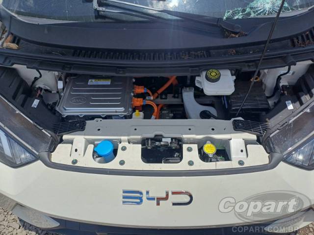 2026 BYD DOLPHIN MINI 