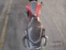 2025 HONDA CB 300F 
