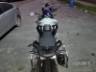 2025 TRIUMPH TIGER 