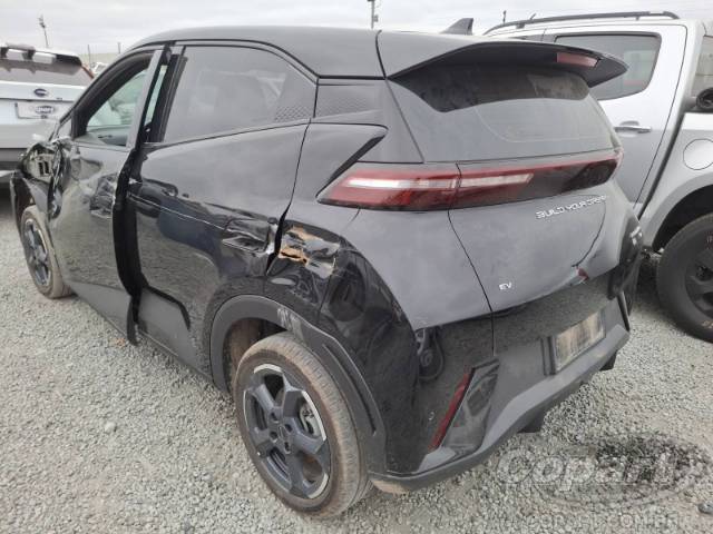 2025 BYD DOLPHIN MINI 