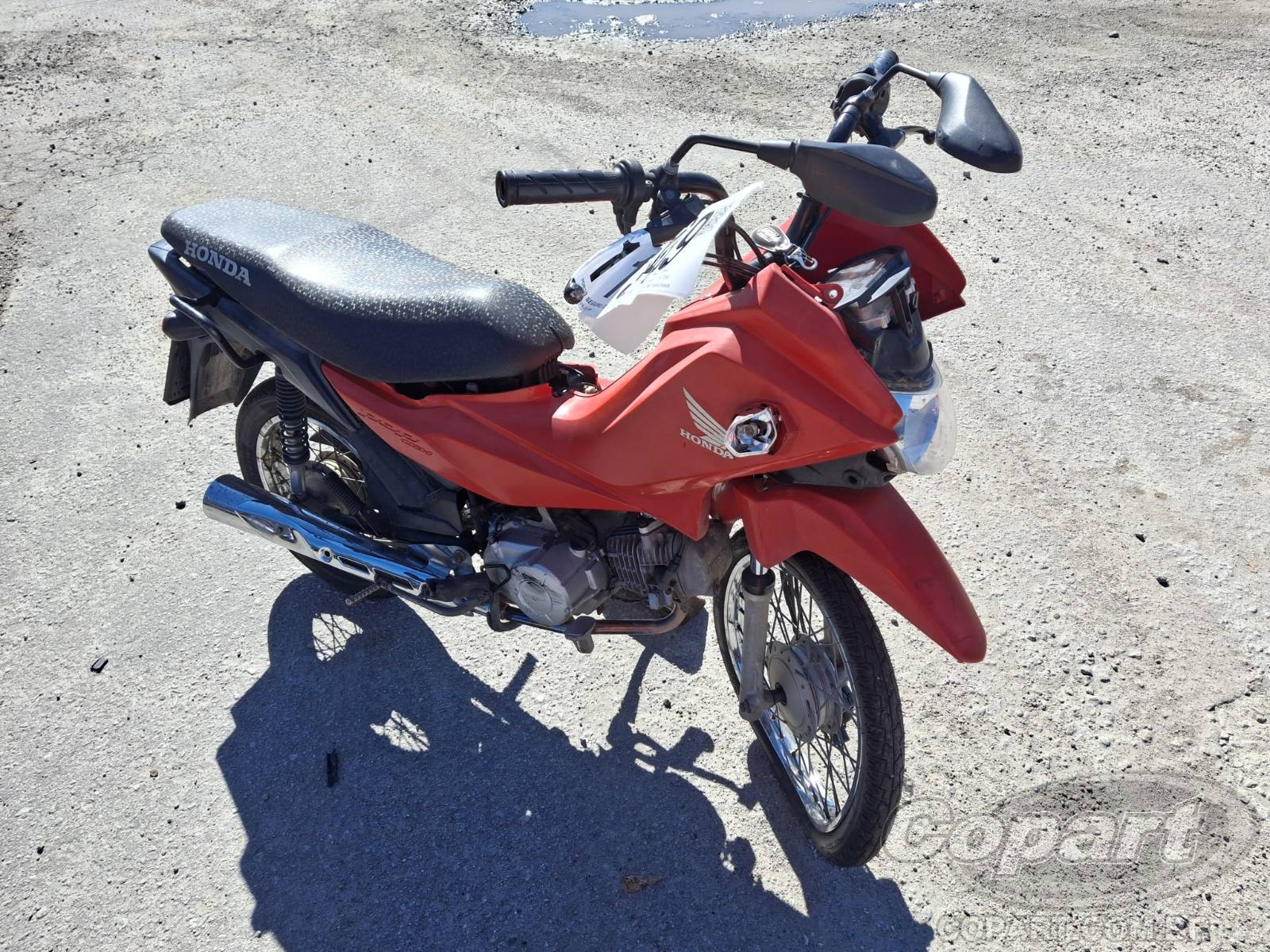 Honda POP