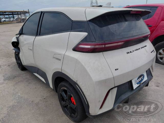 2025 BYD DOLPHIN MINI 