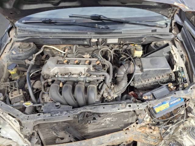 2006 TOYOTA COROLLA 