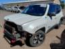 2019 JEEP RENEGADE 