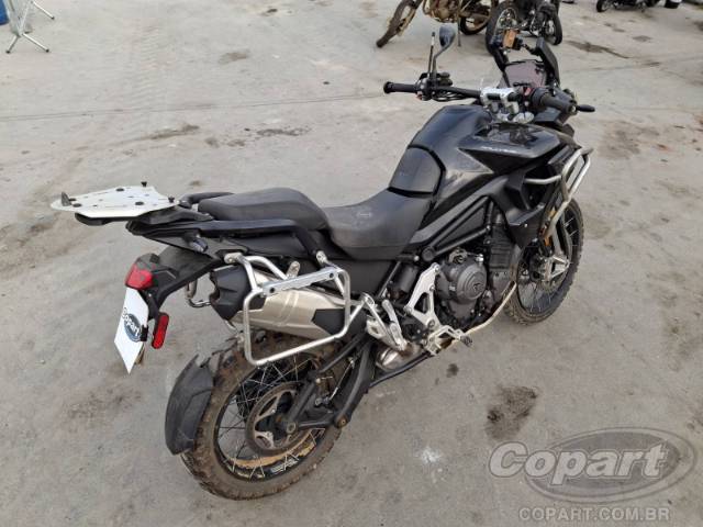 2024 TRIUMPH TIGER 