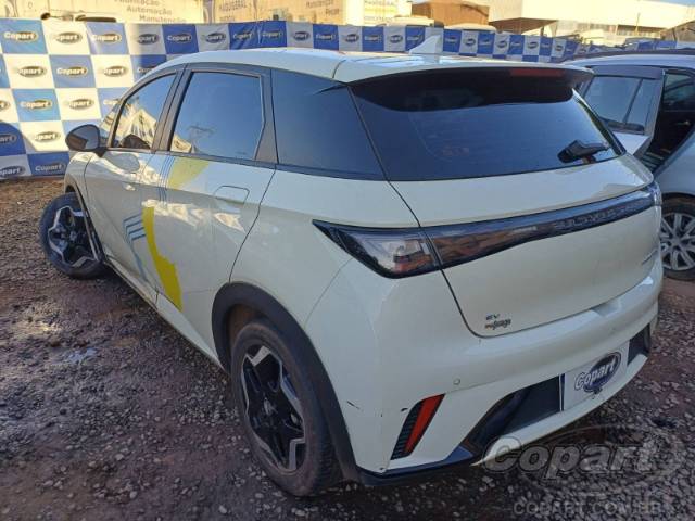 2025 BYD DOLPHIN 