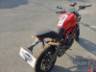 2019 DUCATI MONSTER 