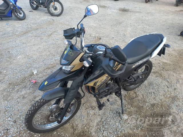 2021 YAMAHA XTZ 250 
